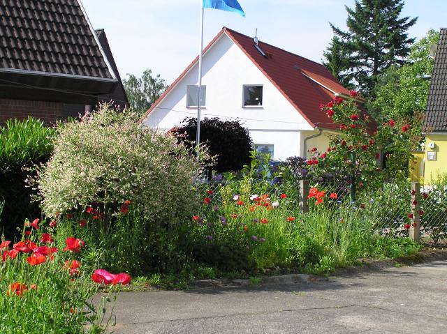 Garden, plants, summer, houses, sidewalk, patio, flag