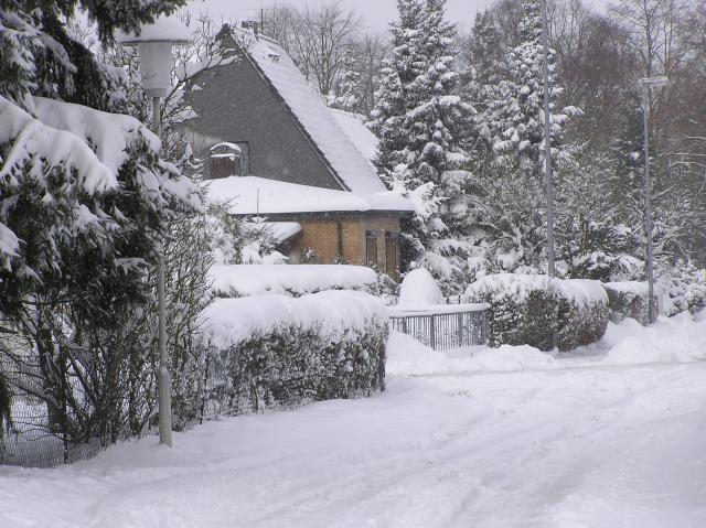 Haus, Häuser, Schnee, Winter, Kalt, Laternen, Bäume, Spuren, Reifenspuren